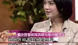 娱乐大爆料洪欣,揭秘明星背后的故事