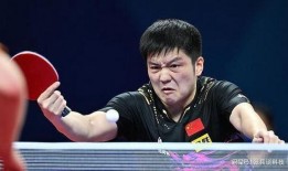 央视爆料乒乓球视频大全,乒乓球视频大全，精彩瞬间一网打尽